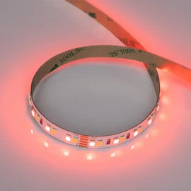 Фото #1 товара Светодиодная лента RT-A168-10mm 24V RGBW-Warm (20 W/m, IP20, 5m) (Arlight, высок.эфф.150 лм/Вт)