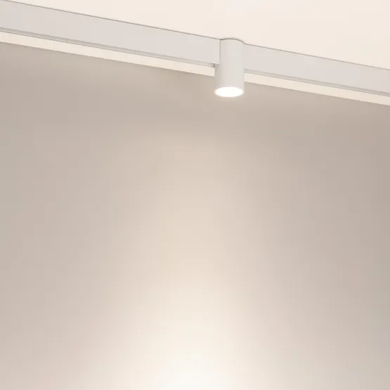 Фото #2 товара Светильник MAG-ORIENT-AXIO-R60-15W Day4000 (WH, 24 deg, 48V) (Arlight, IP20 Металл, 5 лет)