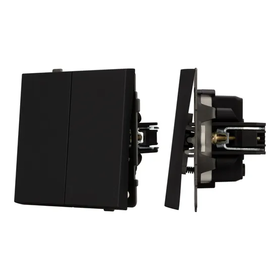 Фото #1 товара Механизм выключателя двухклавишный непроходной SWT-TENDO-MK02-SFPL-BK (230V, 10A) (Arlight, Матовый черный)