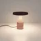 Минифото #4 товара Светильник SP-CROOD-TAB-R22.5x24-7W Warm3200-MIX (RD-BRG, 140 deg, 230V) (Arlight, IP20 Травертин, 5 лет)