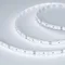 Минифото #1 товара Светодиодная лента MICROLED-5000HP 24V White6000 8mm (2216, 120 LED/m, LUX) (Arlight, 14 Вт/м, IP20)