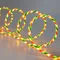 Минифото #1 товара Светодиодная гирлянда Карамель ARD-CLASSIC-10000-CLEAR-360LED STD Warm-Red-Green (230V, 30W) (Ardecoled, IP65)